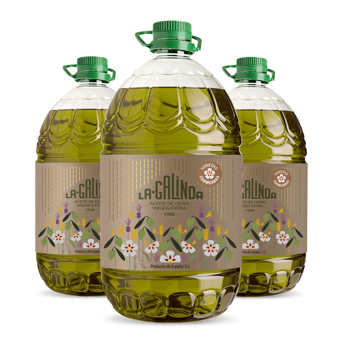 Caja 3 garrafas 5L AOVE Cornicabra La Galinda